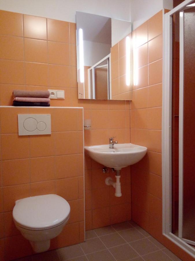 Apartman U Dubu Jablonné nad Orlicí エクステリア 写真